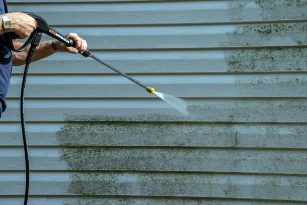 Boat and Dock Cleaning in Louisville, NE
